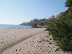 a sandy beach with trees on the side of it at Aparthotel El Faro in Cullera