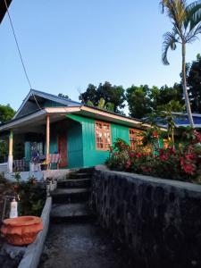 una casa verde con una palma di fronte di Hobbit Hill a Ruteng