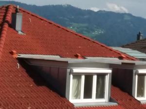 リンダウにあるFerienwohnung Nicole Bufflerの山を背景にした家屋の赤い屋根
