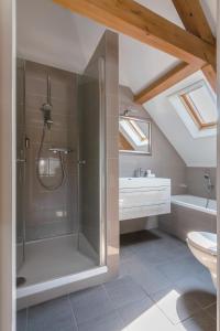 ein Bad mit einer Dusche, einem Waschbecken und einem WC in der Unterkunft Abbey Abcoude in Abcoude