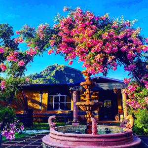 a fountain in front of a house with pink flowers at Los Cruxes in Tepoztlán