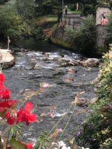 Afbeelding uit fotogalerij van LE 41 AVENUE FOCH in Luchon