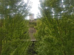 uma vista de um edifício através das árvores em T4 centre Lourdes em Lourdes