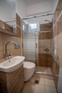a bathroom with a toilet and a sink and a shower at Kassianis House Mytikas in Kalamitsi