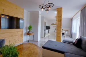 Televízia a/alebo spoločenská miestnosť v ubytovaní Apartament Góralska Ostoja prywatne wejście widok na Tatry