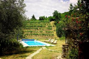 una piscina en medio de un campo de rosas en MULINO VECCHIO, en Minucciano