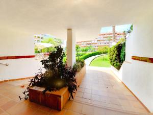 um quarto com um pátio com plantas e um edifício em Best House Paola em Torrevieja