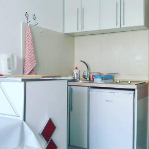 Kuchyň nebo kuchyňský kout v ubytování Apartmani Dačo