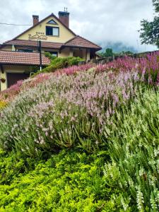 Rakennus, jossa guesthouse sijaitsee