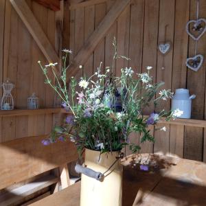 Billede fra billedgalleriet på Agroturystyka Cold Sea i Sztutowo