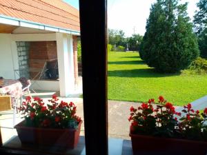 Taman di luar Apartmani Ćosić