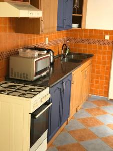 a kitchen with blue cabinets and a sink and a microwave at Apartment Elli in Františkovy Lázně