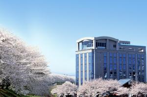a tall building with whiteakura trees in front of it at Hotel Riverge Akebono in Fukui