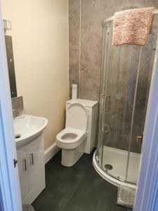 
a bathroom with a toilet, sink, and shower at Park Guest House in Inverness

