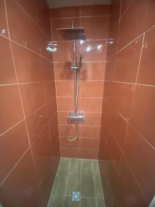 a bathroom with a shower with orange tiles at La Plaza Vieja in Cuevas del Valle +12 photos