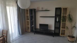 TV a/nebo společenská místnost v ubytování Apartament Gryfitów