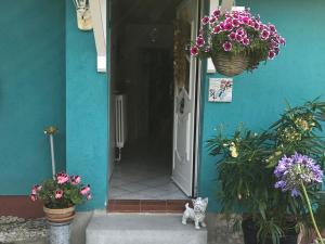 Fotografie z fotogalerie ubytování Zimmervermietung Volland v destinaci Výmar