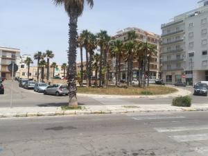 uma rua vazia com palmeiras numa cidade em Gallipoli Lungomare 10 em Gallipoli