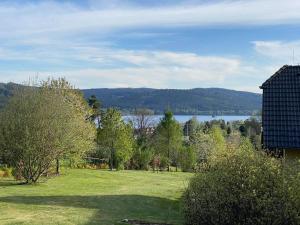 pole trawy z jeziorem w tle w obiekcie Villa Slupečná w mieście Lipno nad Vltavou