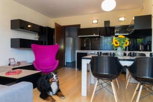 Kuchyň nebo kuchyňský kout v ubytování Apartament Na Urlop - Wisła Sarnia - apartament przyjazny zwierzętom