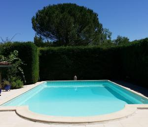 a large swimming pool in a yard with a hedge at Sur mon chemin chambres d'hôtes in Cahuzac-sur-Vère