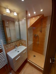 a bathroom with a shower and a sink and a toilet at Apartments Sobe Jurček in Luče