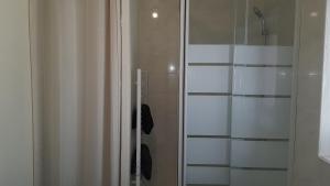 a shower with a glass door in a bathroom at Joli studio proche de DisneyLand Paris in Nanteuil-lès-Meaux