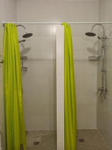 a shower with a green shower curtain in a bathroom at HOSTEL LA CABAÑUELA in Monleras