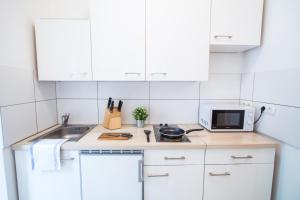 Fotografie z fotogalerie ubytování Apartment Puchsbaumgasse ve Vídni