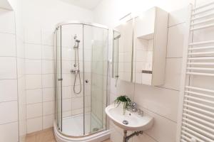 Fotografie z fotogalerie ubytování Apartment Puchsbaumgasse ve Vídni