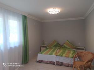 1 dormitorio con 1 cama con cortinas verdes y lámpara de araña en Brill Apartman, en Harkány