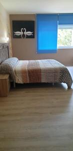 a bed in a bedroom with a blue window at Hotel O Camiño in O Barco de Valdeorras