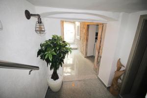 Fotografia z galérie ubytovania Town House in the centre of historic Trogir v Trogiri
