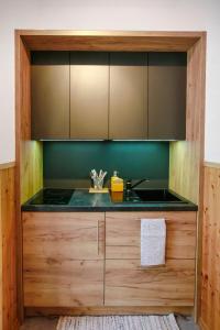 Kuchyň nebo kuchyňský kout v ubytování Apartament z ogrodem w centrum Limanowej