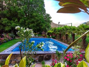 a swimming pool in a garden with flowers at Danica House in Krivolak +10 photos
