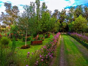 a garden with purple and pink flowers and trees at Danica House in Krivolak