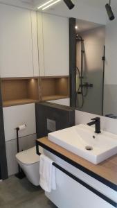 a bathroom with a sink and a toilet at Apartament Limanowskiego in Kraków