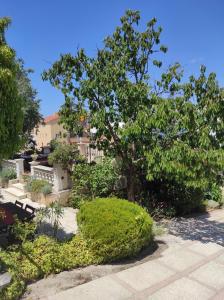 Vonkajšia záhrada v ubytovaní Villa Caroline