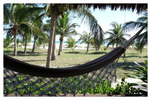 uma rede numa praia com palmeiras em Rancho do Kite Villas em Praia do Preá