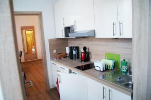 Кухня или мини-кухня в Das Falk Apartmenthaus
