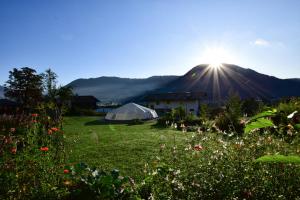 a view of a field with a tent and a mountain at Hutmann in Kirchdorf in Tirol