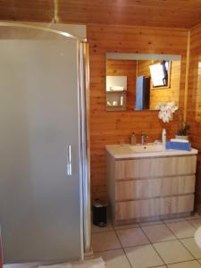 a bathroom with a sink and a mirror at De Zon B&B in Heist-op-den-Berg