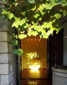 Zahrada ubytování Villa Csipak