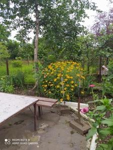 Giardino di liziko's House