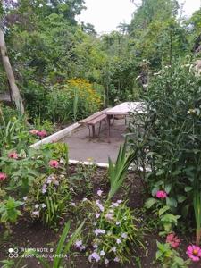 einen Garten mit einem Picknicktisch in der Mitte in der Unterkunft liziko's House in Kobuleti