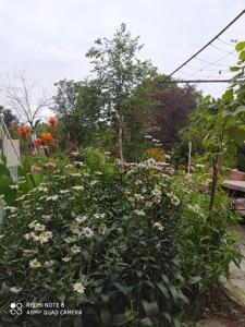 einen Garten voller Pflanzen und Blumen in der Unterkunft liziko's House in Kobuleti