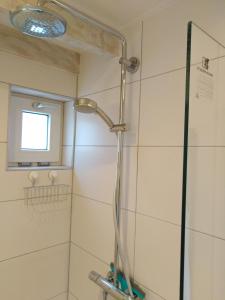 una doccia con una porta in vetro in un bagno di Tante Cher à la Mer - Zeeland a Biggekerke