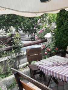 Jardí fora de MS Stojic