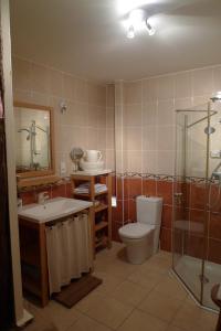 a bathroom with a toilet and a sink and a shower at Chambre d'hôtes à Mignaloux-Beauvoir- le Thil in Mignaloux-Beauvoir