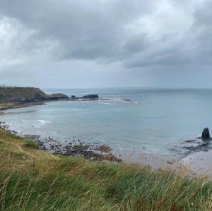 Naturlandskabet i nærheden af lejligheden